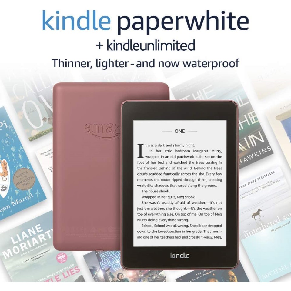 Amazon kindle Paperwhite 4 hot - 10th generation PLUM